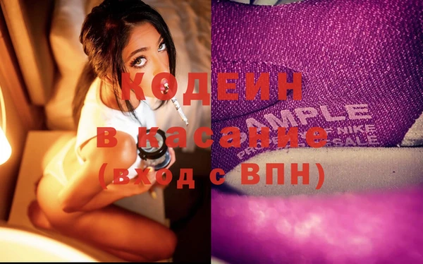 прущий лед Алзамай