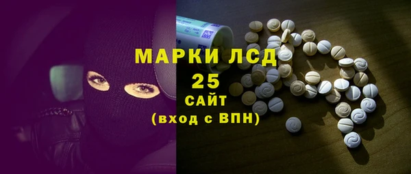 прущий лед Алзамай