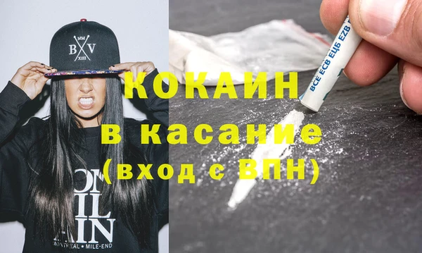 твердый Михайлов