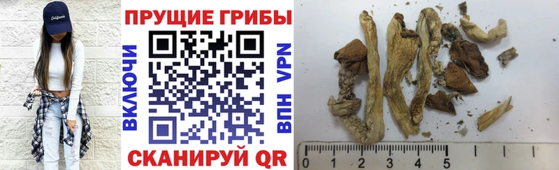 Галлюциногенные грибы мицелий  цена   Заринск 
